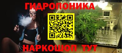 индика Гай