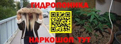 индика Гай