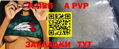 индика Гай
