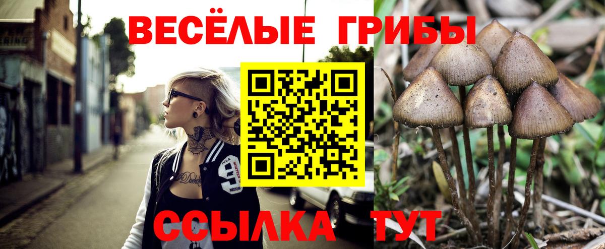 Псилоцибиновые грибы мицелий  Вход с VPN  Зеленодольск  Галлюциногенные грибы GOLDEN TEACHER 